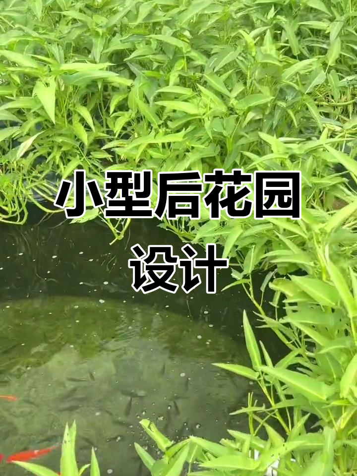 鱼池与绿墙的完美结合,打造生态农庄的后花园