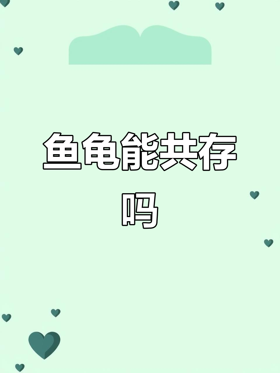 鱼龟混养技巧:如何避免乌龟捕食鱼类
