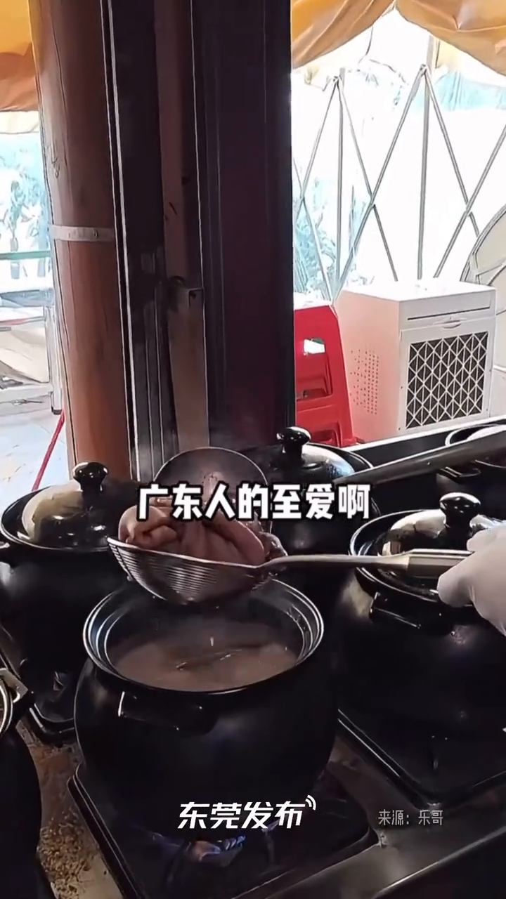祛湿、清热、养胃，广东人至爱？