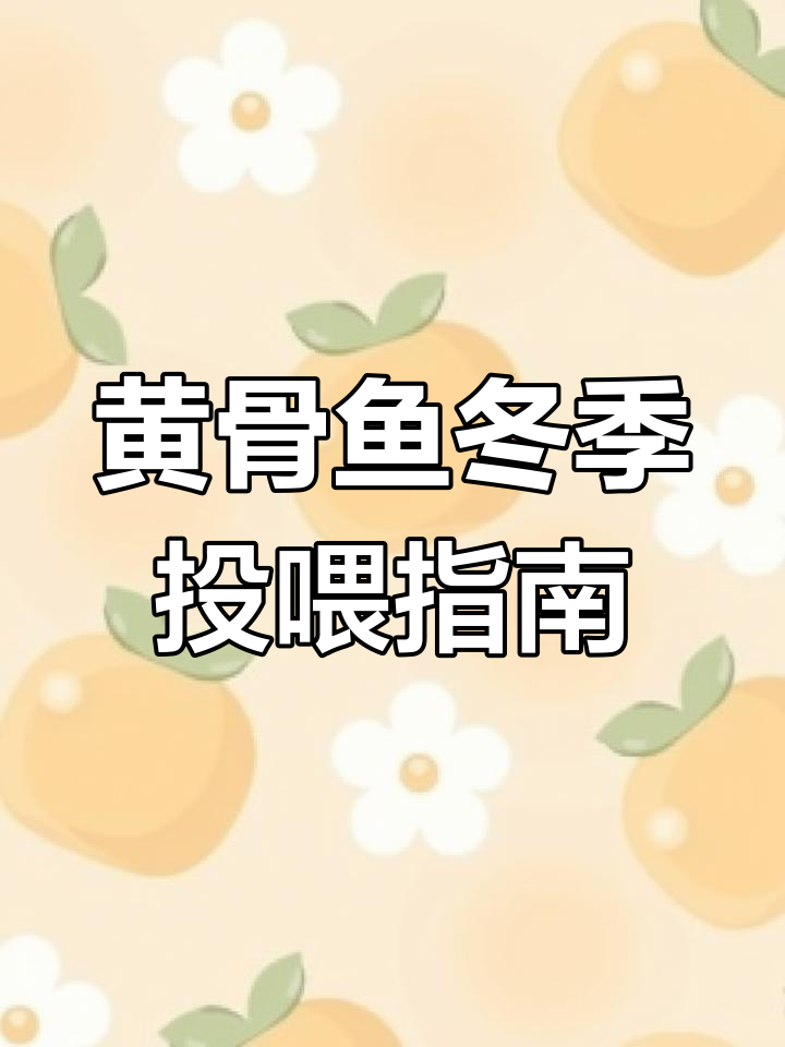 黄骨鱼越冬期投料技巧,掌握这些要点确保健康