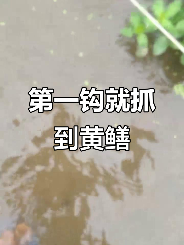 第一次就中黄鳝,甲鱼钩子太神奇了!