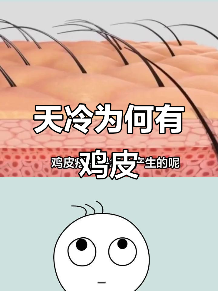 寒冷时皮肤起鸡皮疙瘩的真相,竟与这些原因有关