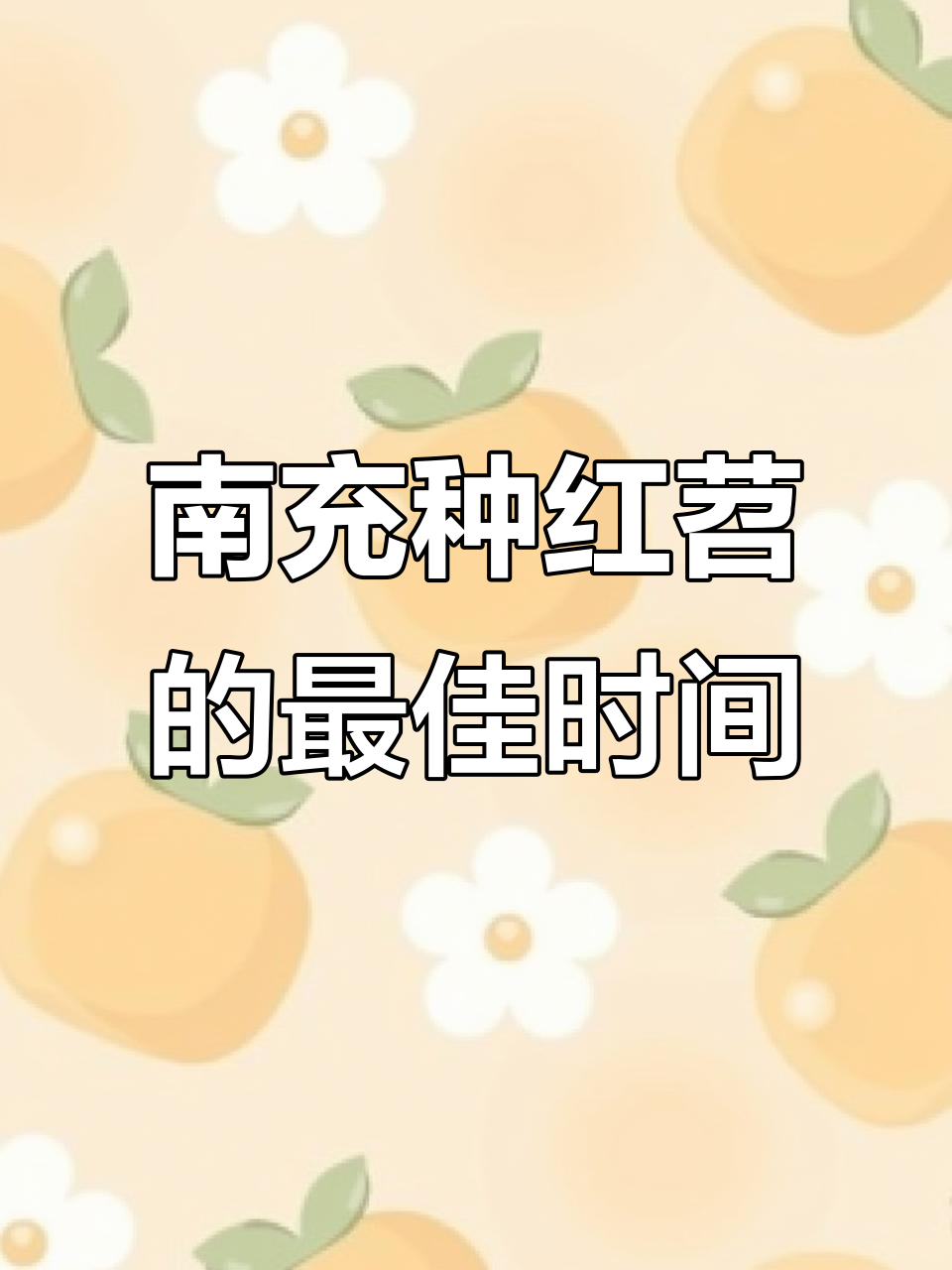 南充地区早红薯种植时机揭秘,菜子花开后就是最佳时期