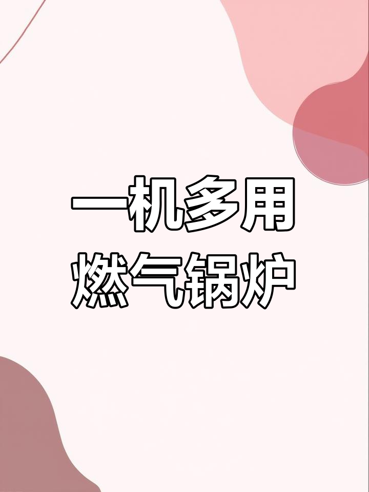 燃气锅炉供暖蒸馒头,节能环保两不误
