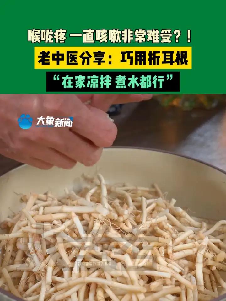 喉咙疼 一直咳嗽非常难受?!老中医分享:巧用折耳根,“在家凉拌 煮水都行”