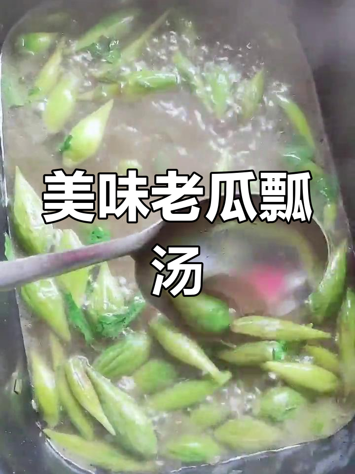 老瓜瓢汤,鲜美又养生,丰胸通乳效果超赞