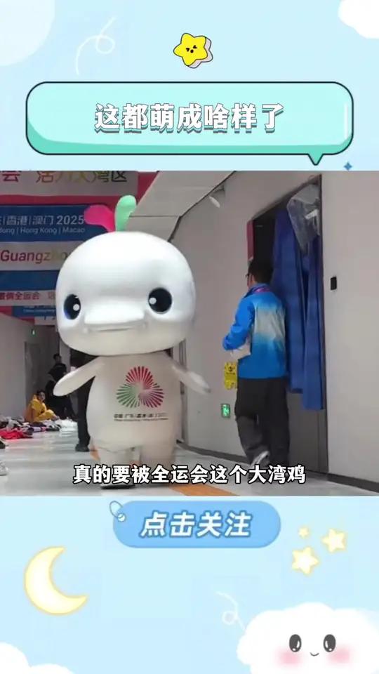 怎么能有这么可爱的大湾鸡