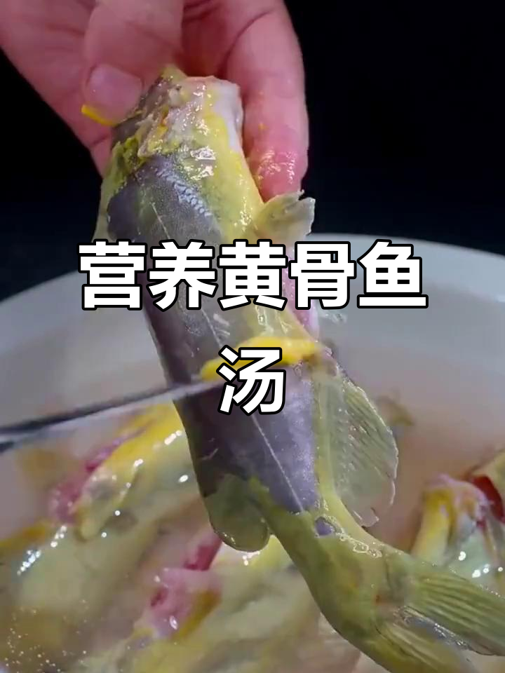 黄骨鱼豆腐汤,适合宝宝和孕妇,清蒸或炖煮皆宜