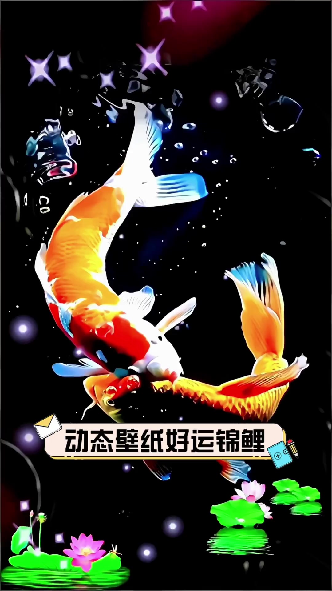 动态壁纸好运锦鲤