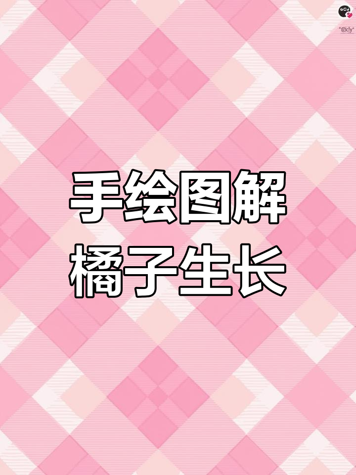 手绘橘子从种子到果实的过程,简单又有趣