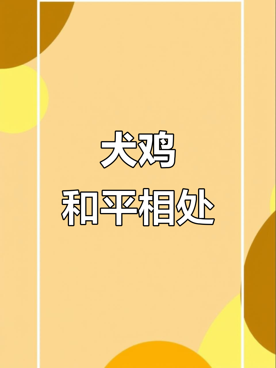 下司犬与土斗鸡和谐共处,抢食不打架