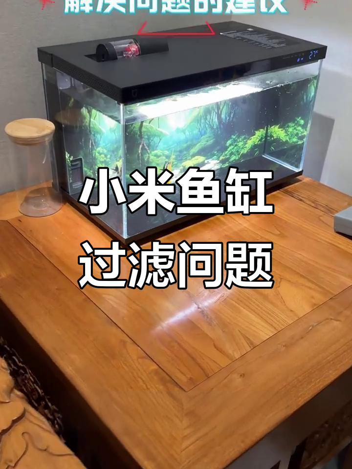 小米鱼缸过滤差?根本原因竟是它!