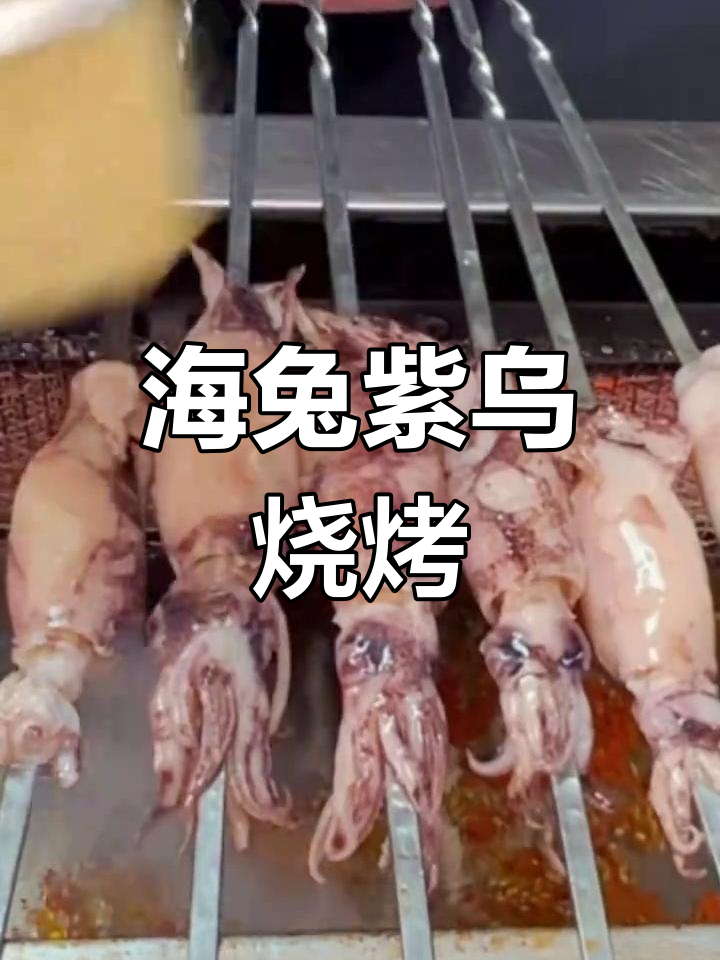 烤墨鱼仔大揭秘,海兔与紫乌的烧烤之旅