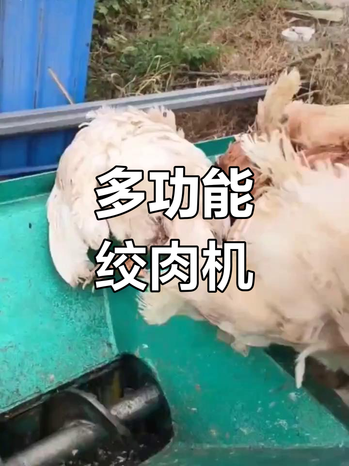 160型220V减速机绞肉碎骨机,适用多种养殖