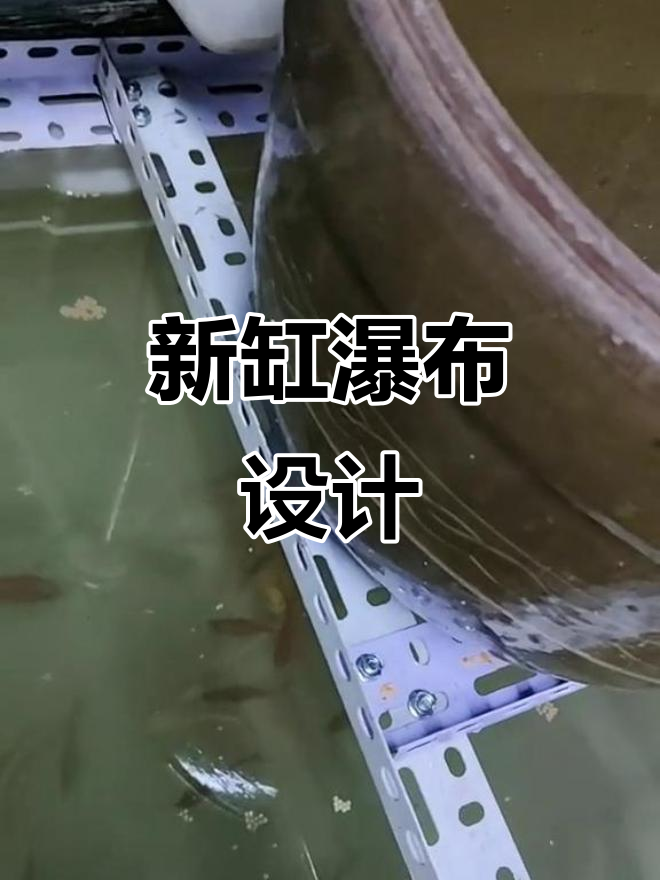 古法养鱼新缸开箱,瀑布与循环水完美结合
