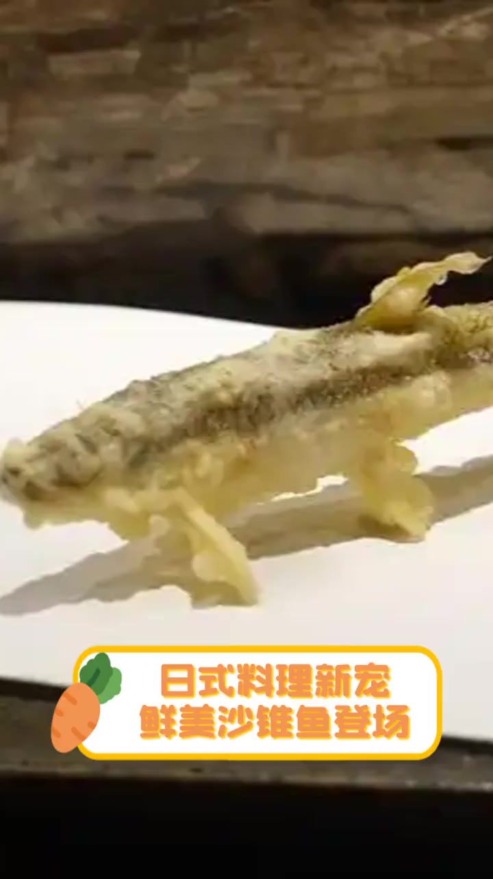 日式料理新宠,鲜美沙锥鱼登场
