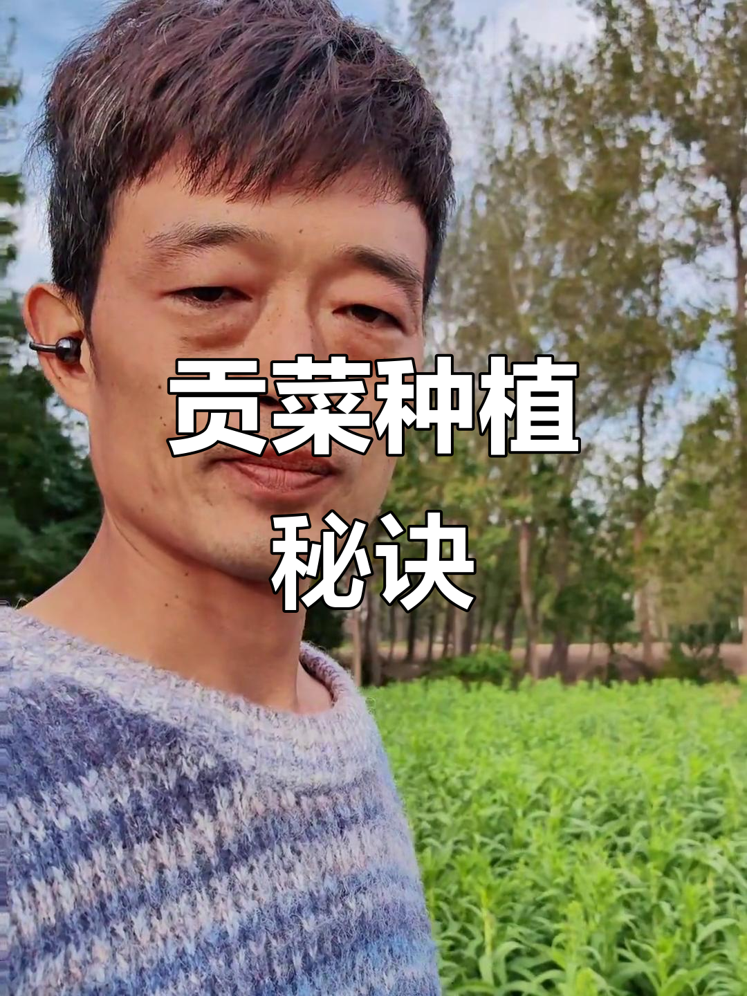 贡菜种植需适宜气候,技术与种子同样重要