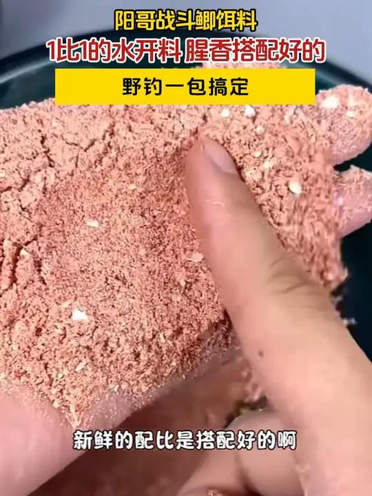 阳哥战斗鲫野钓一包搞定1比1的水开料腥香搭配好的 爆护饵料 诱鱼剂 2024dou来钓鱼 