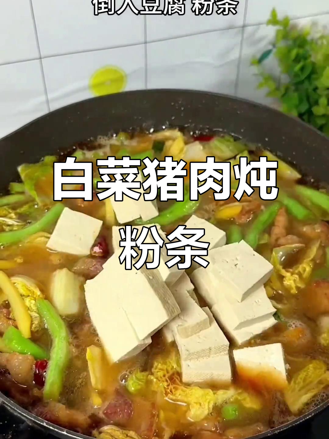 寒冬必备!白菜猪肉炖粉条,配米饭最香