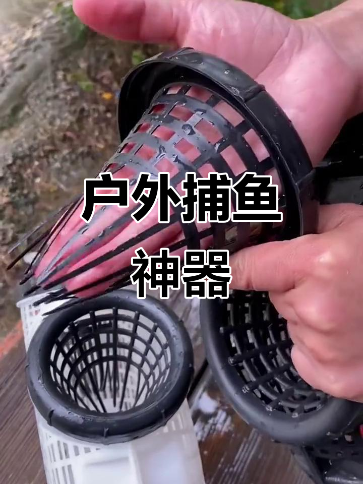 轻松抓黄鳝,捕鱼笼设计巧妙诱饵放对位置