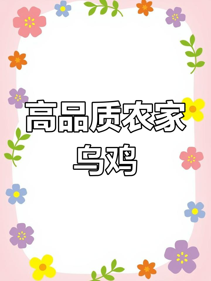 怀化林间散养白凤乌鸡,野性十足的高品质土鸡