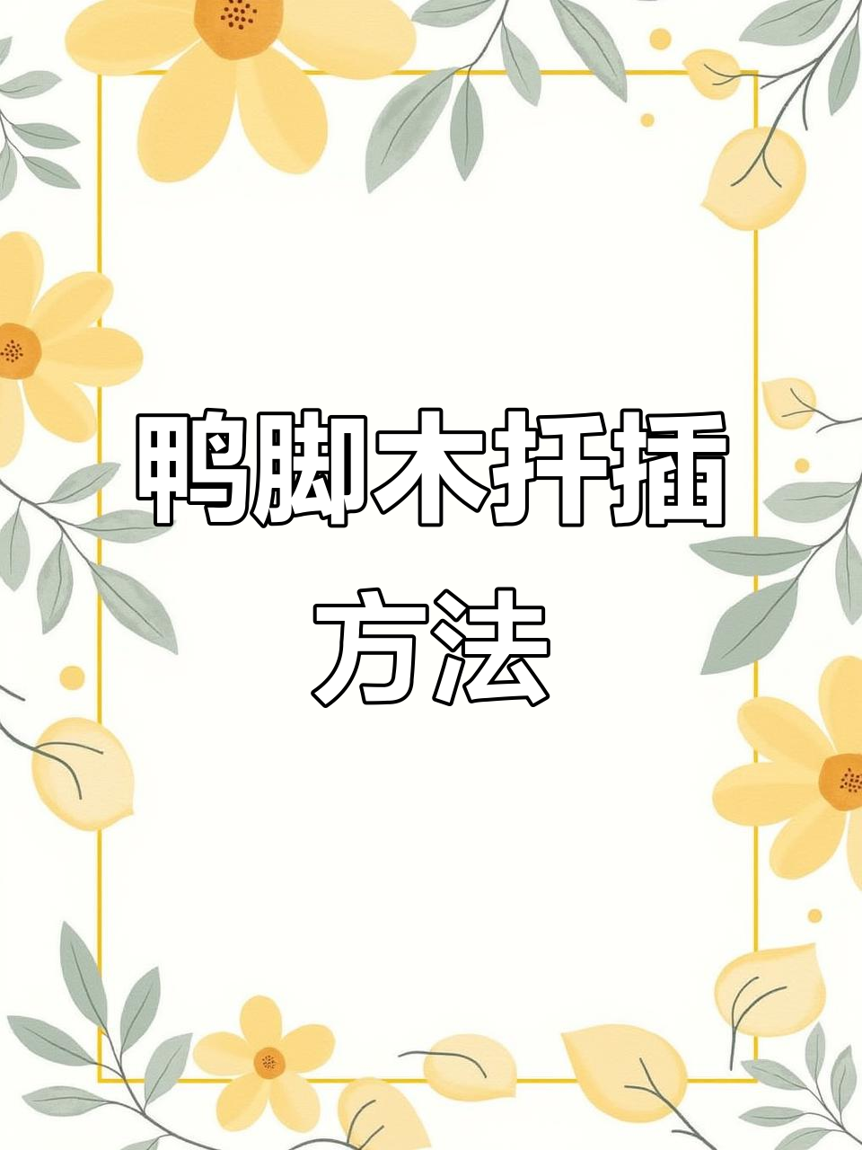 鸭脚木扦插技巧，轻松成活！