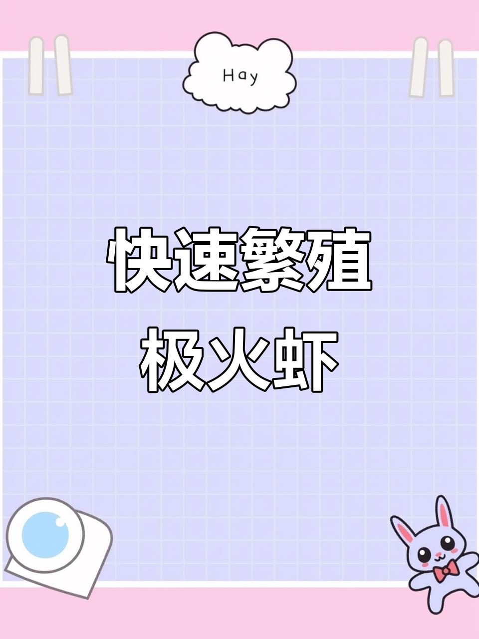 极火虾繁殖秘诀:喂这个,爆缸更轻松