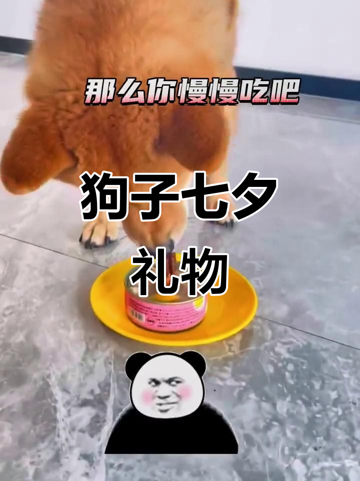 七夕冰激凌蛋糕,柴犬超爱!