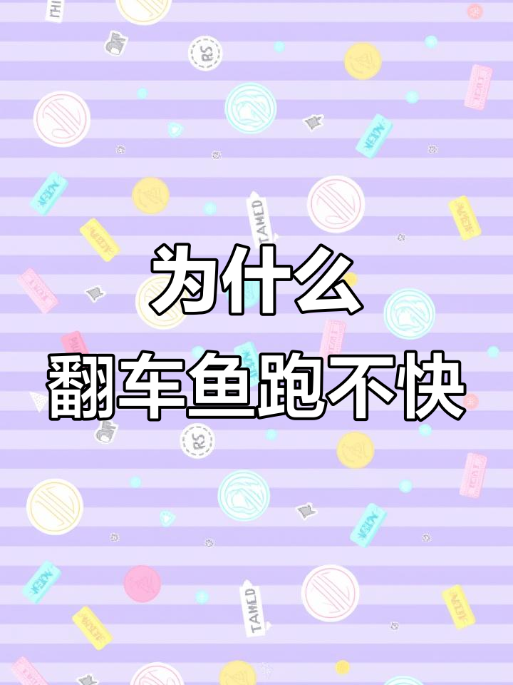 翻车鱼为何被海豹轻松捕食?揭秘其缓慢游行背后的原因