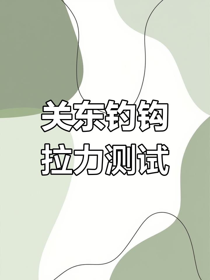 国产钓钩评测:关东竞技性表现如何