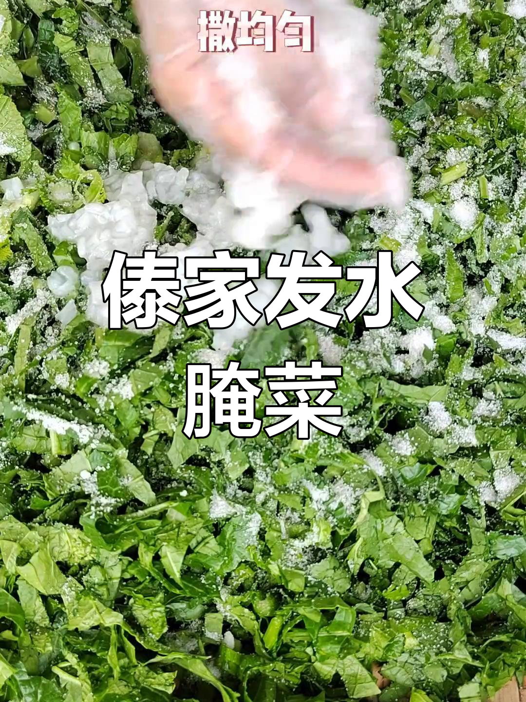 云南傣族特色腌菜,开胃美味