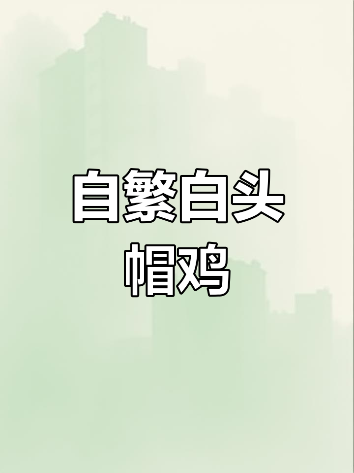 白头帽子鸡:珍禽养殖与自繁自养的故事
