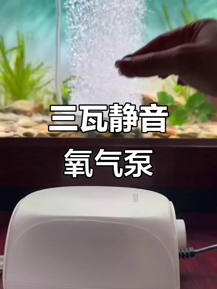 静音高效气泵,细腻气泡助力鱼缸增氧