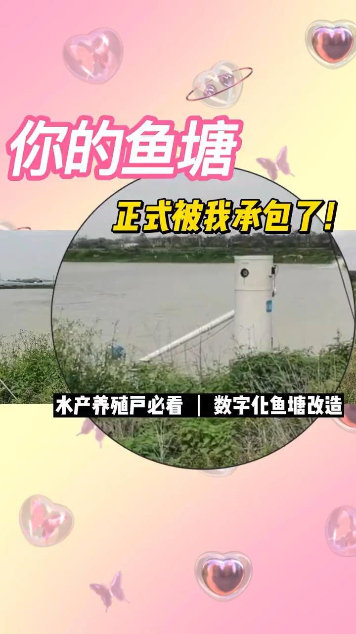 鱼塘数字化改造,优鱼帮你承包了!你只需要安心养鱼,优鱼为你提供从水质监控到饲料投喂一站式物