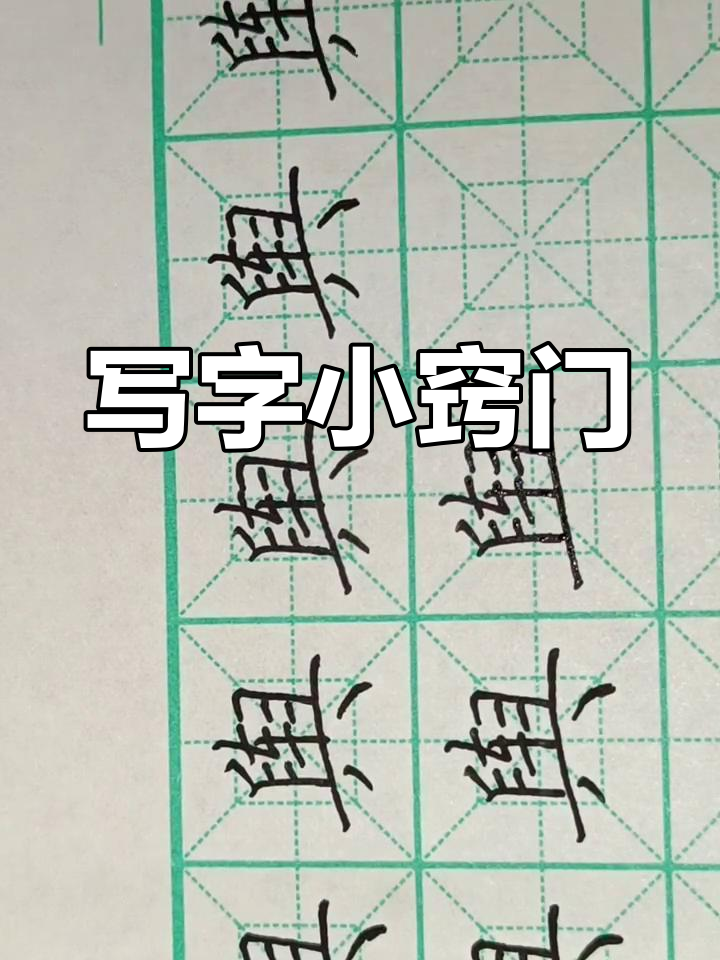 硬笔书法技巧：如何写好“鱼”字，掌握规范书写要点