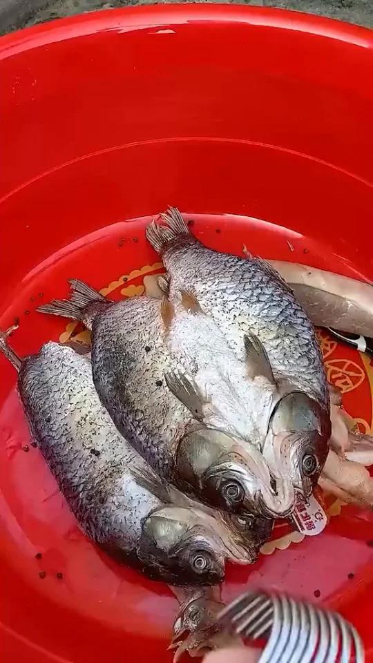 又到了做小鱼腊肉的季节,用这个挂钩可以方便挂腊肉咸鱼鸭子等