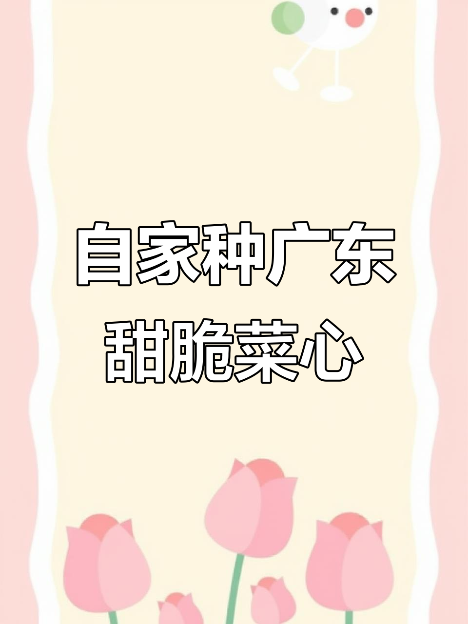 广东菜心阳台种植,简单又美味