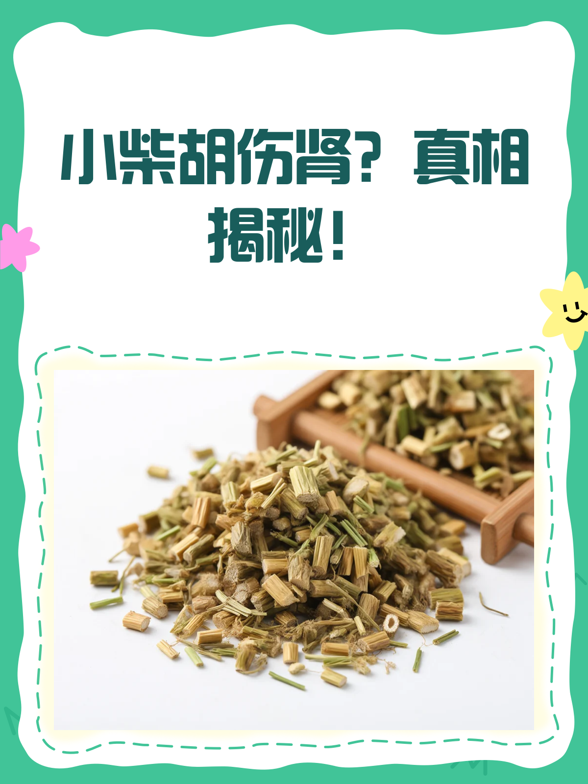 小柴胡伤肾?真相揭秘!