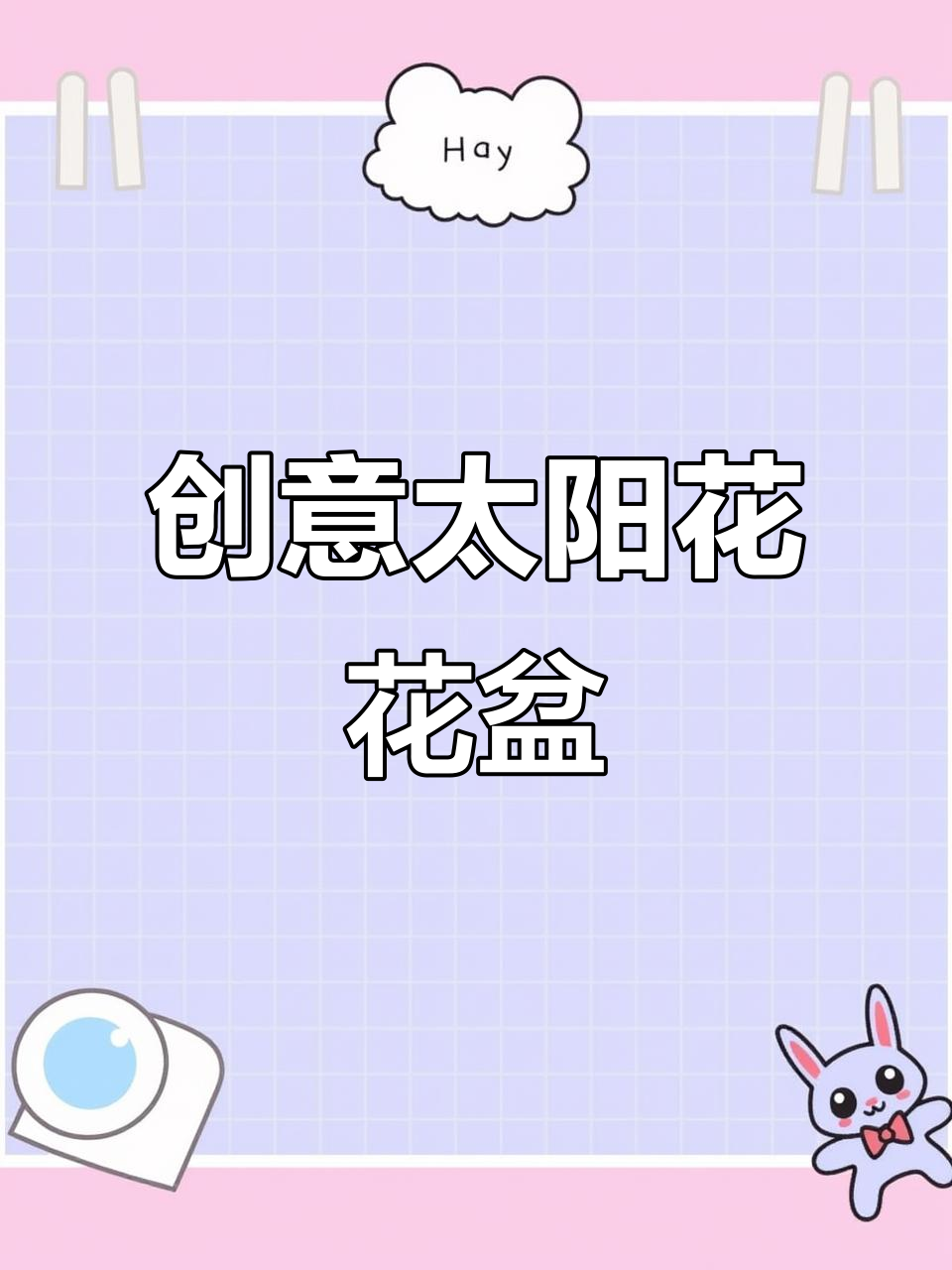 自制太阳花造型重瓣宿根花卉,打造独特美丽花盆