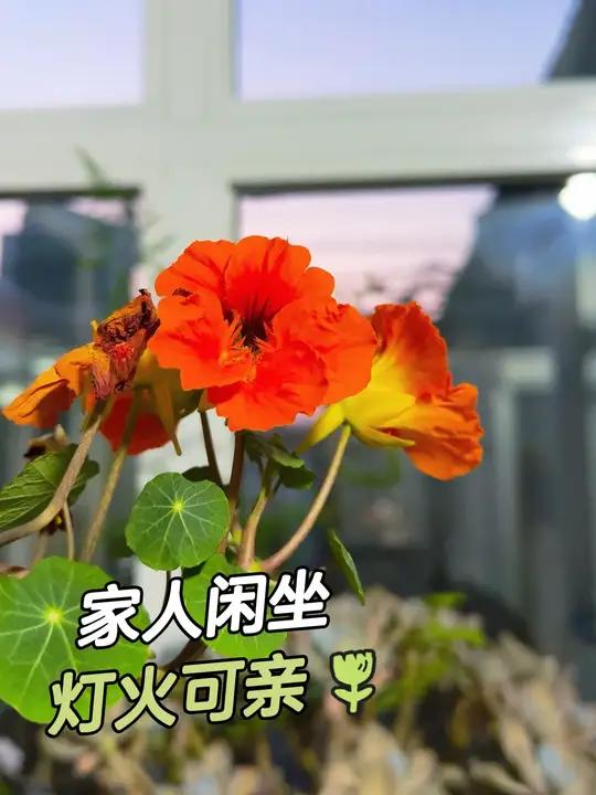 做一桌可口的饭菜，和家人闲坐，何尝不是一种疗愈呢？我们穷极一生所追求的幸福，到头来不过是人