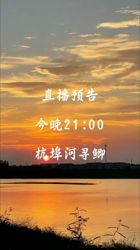 秋季夜钓鲫鱼