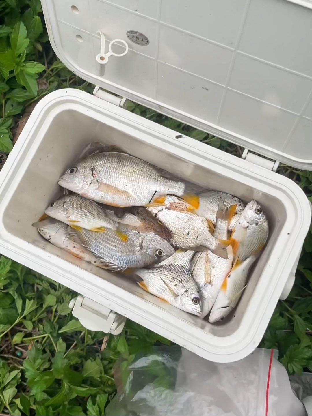 钦州江的腊鱼开始咬人了 浮游矶钓 黄脚立 原来钓鱼才是抖音运动顶流 内容启发搜索 钦州钓鱼
