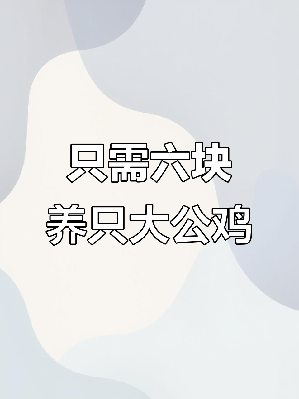 六块钱买一只九斤红鸡苗,超值大公鸡等你拿
