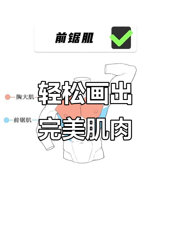 男生肌肉这样画，简单又好看！