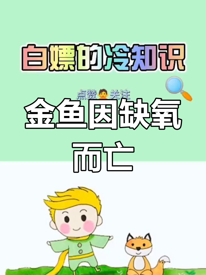 金鱼死亡真相:不是撑死,而是缺氧