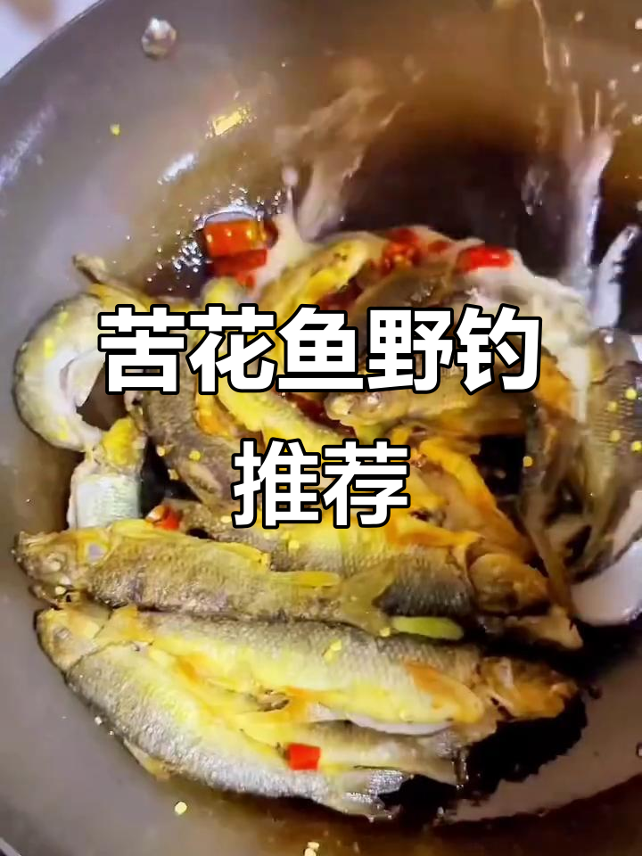 钓友问苦花鱼野钓地点,安排上!