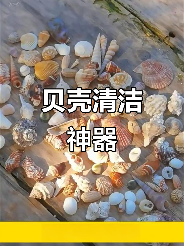 贝壳清洗剂,适用于海螺、珊瑚及鲍鱼壳的亮光清洁