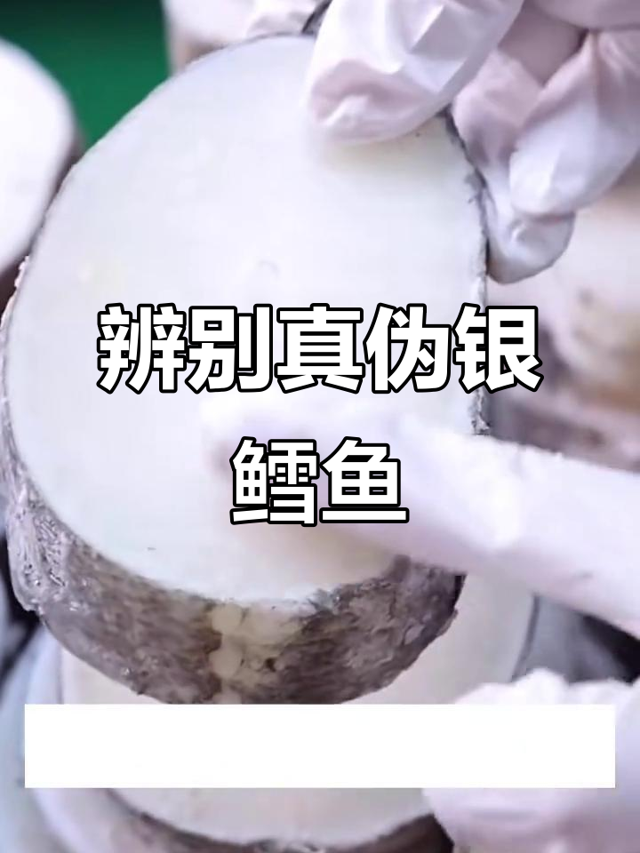 如何分辨真假银鳕鱼?智利鳕与法国银鳕的区别