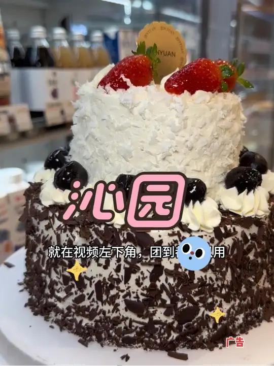 沁园6+3双层奶油蛋糕原价278团购只要两位数,款式还是多款可选,多店通用