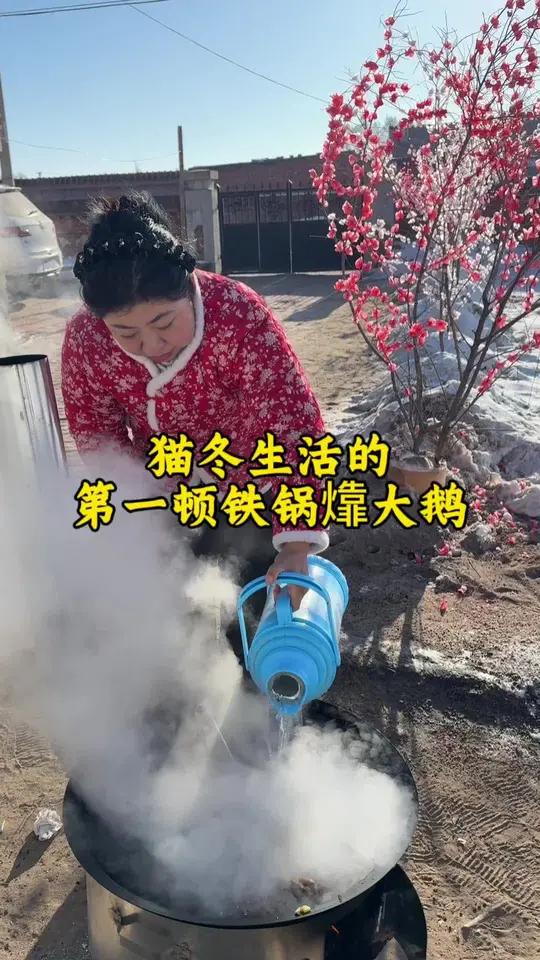 猫冬生活,来一顿铁锅靠大鹅,干吧的香!